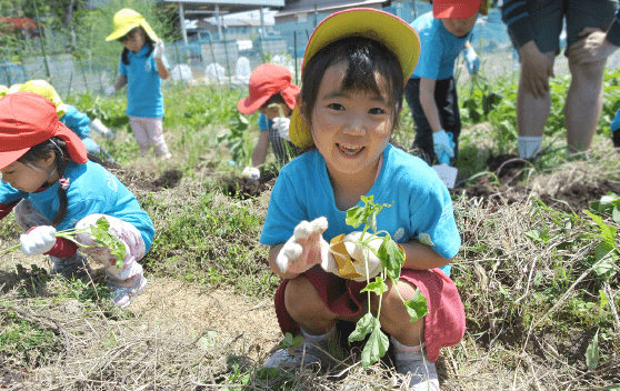 大きくなあれ！畑でお芋の苗植えやプランター栽培