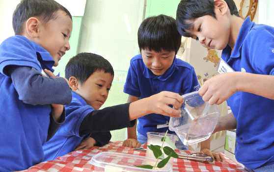 超低温液体を作って何でも凍らせちゃおう！