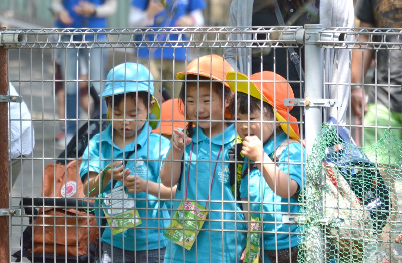 親子遠足 Family Field Trip to Zoo